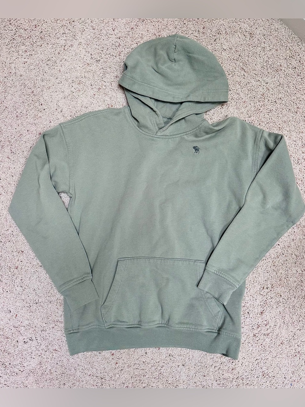 Abercrombie Kids Hooded Sweatshirt (size 15/16)